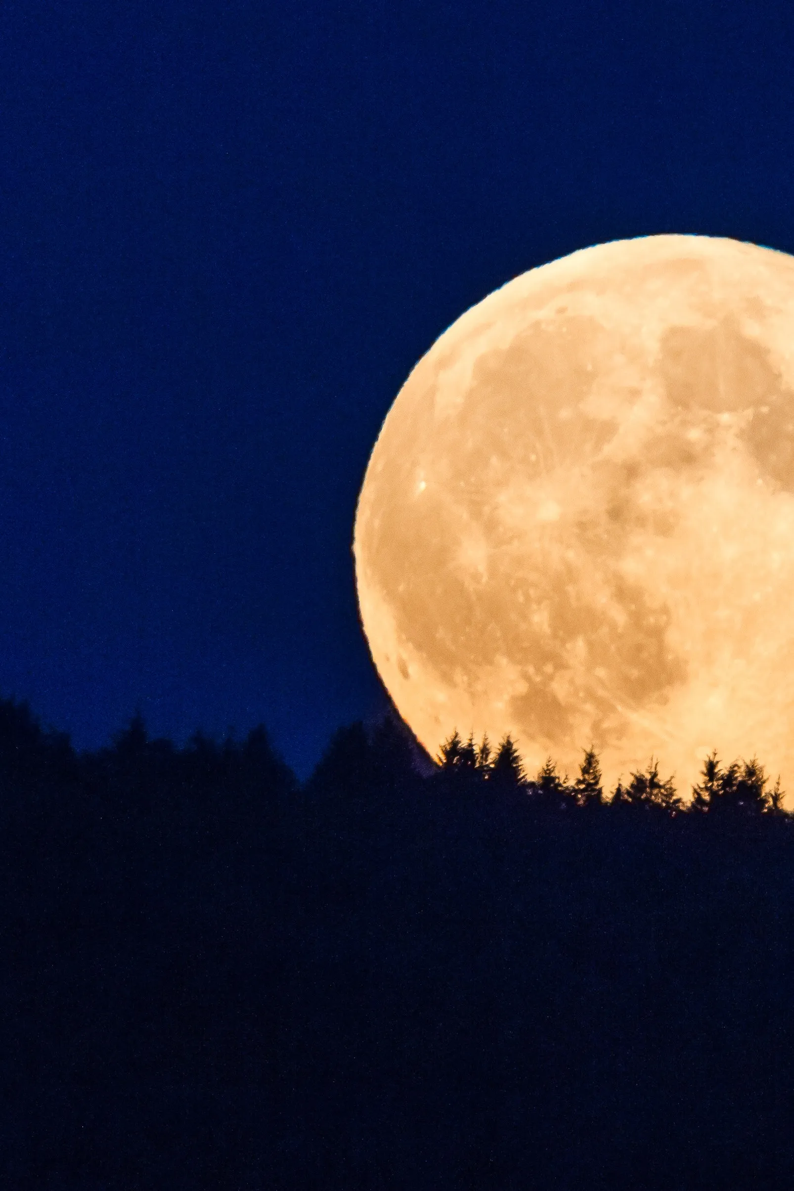 Pleine Lune de Novembre 2024 : La "Lune du Castor" Éclaire le Ciel Français
