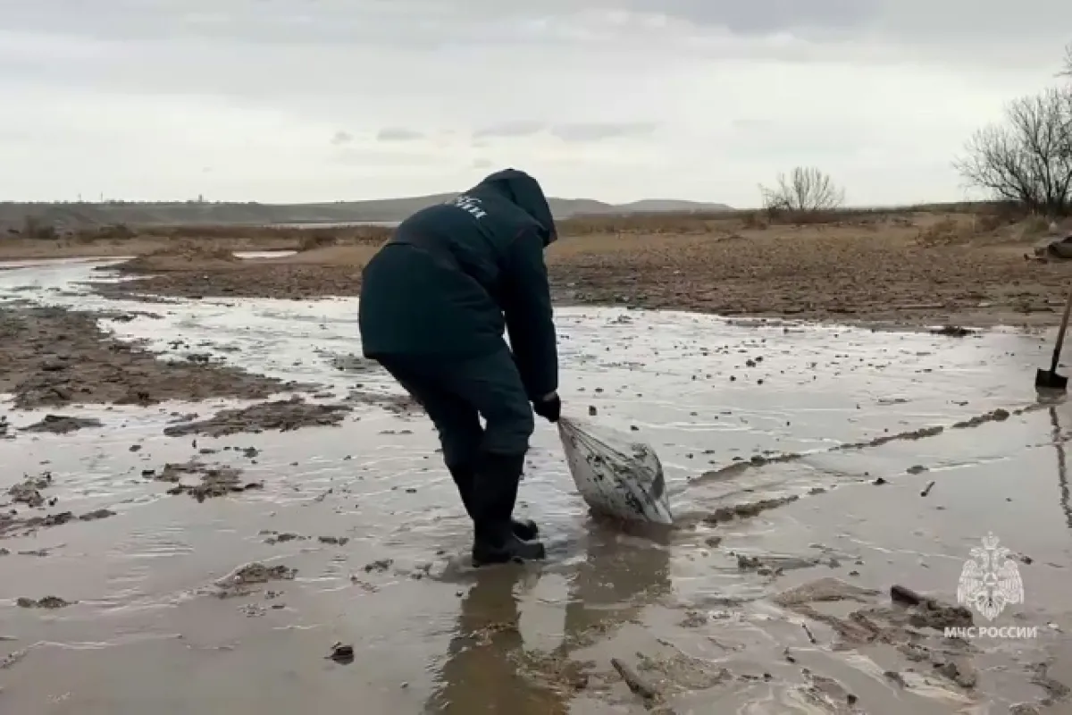 Crimée : Une décennie d'identités en lutte sous l'occupation russe