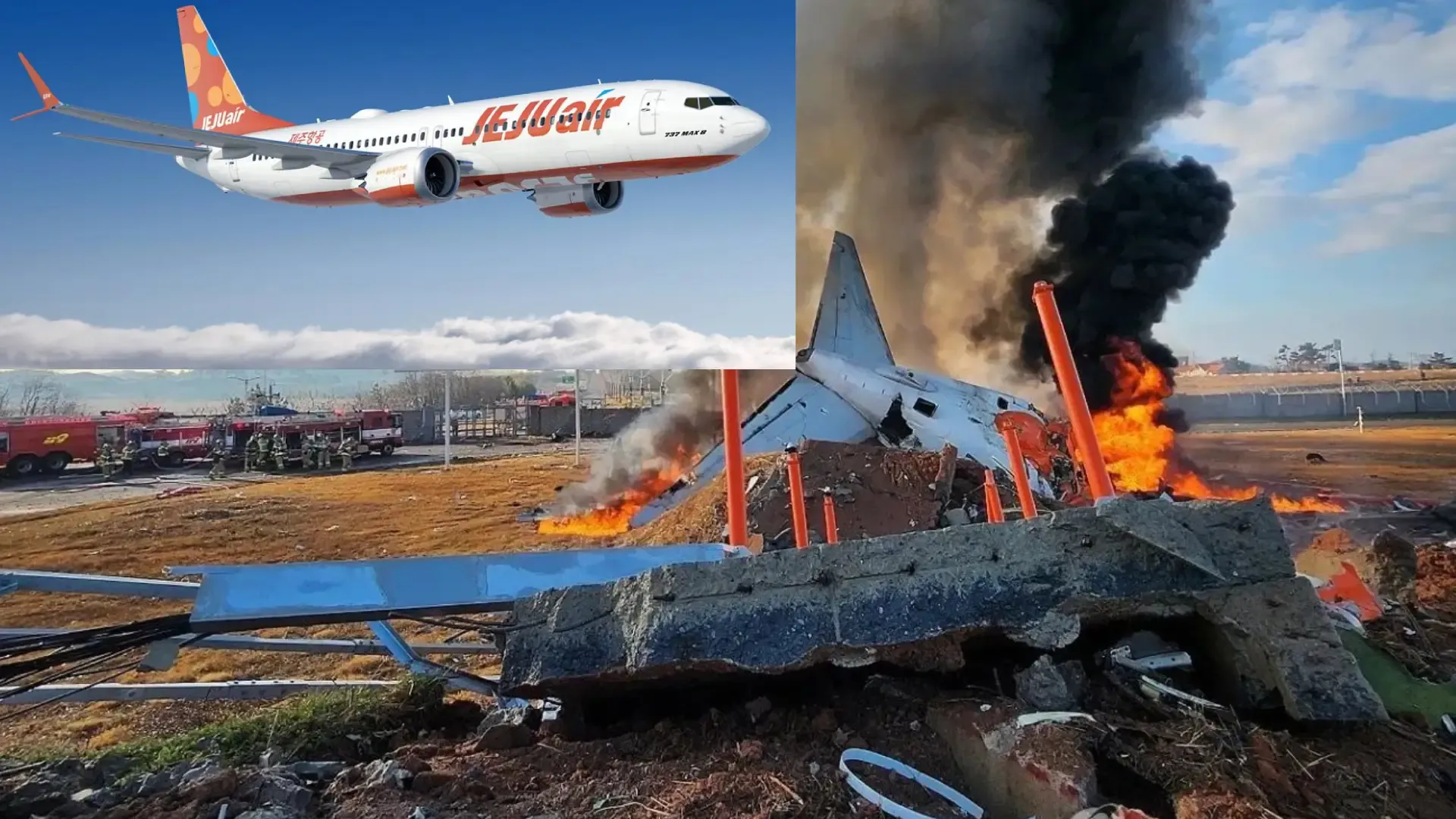 Jeju Air : La Révolution des Vols Abordables en France