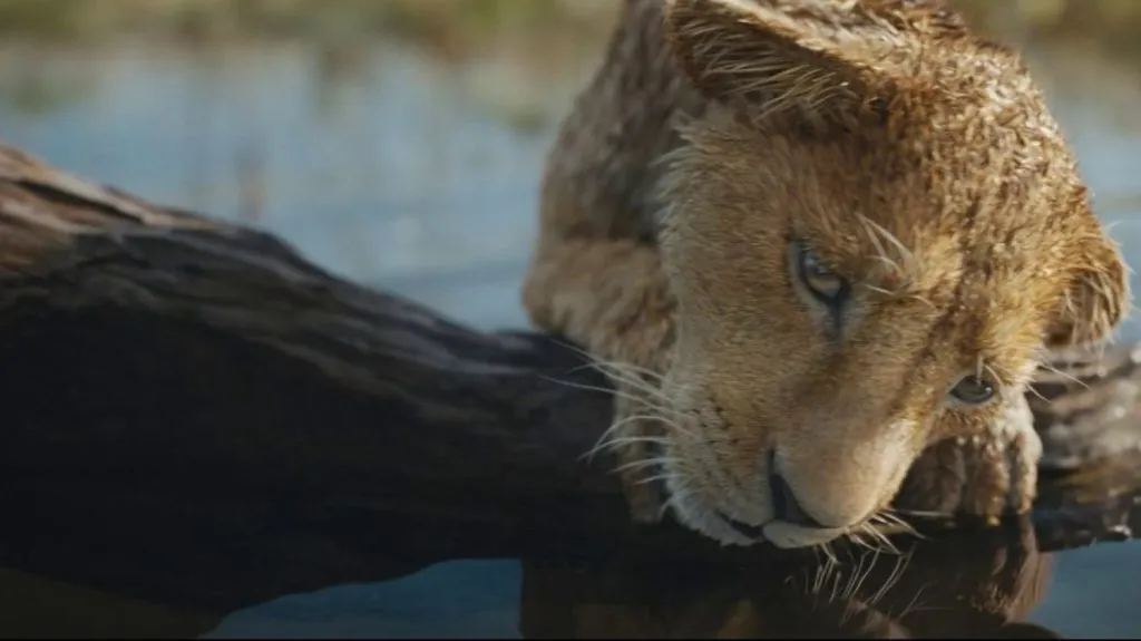 Mufasa : Le Retour du Roi Lion qui Émeut la France
