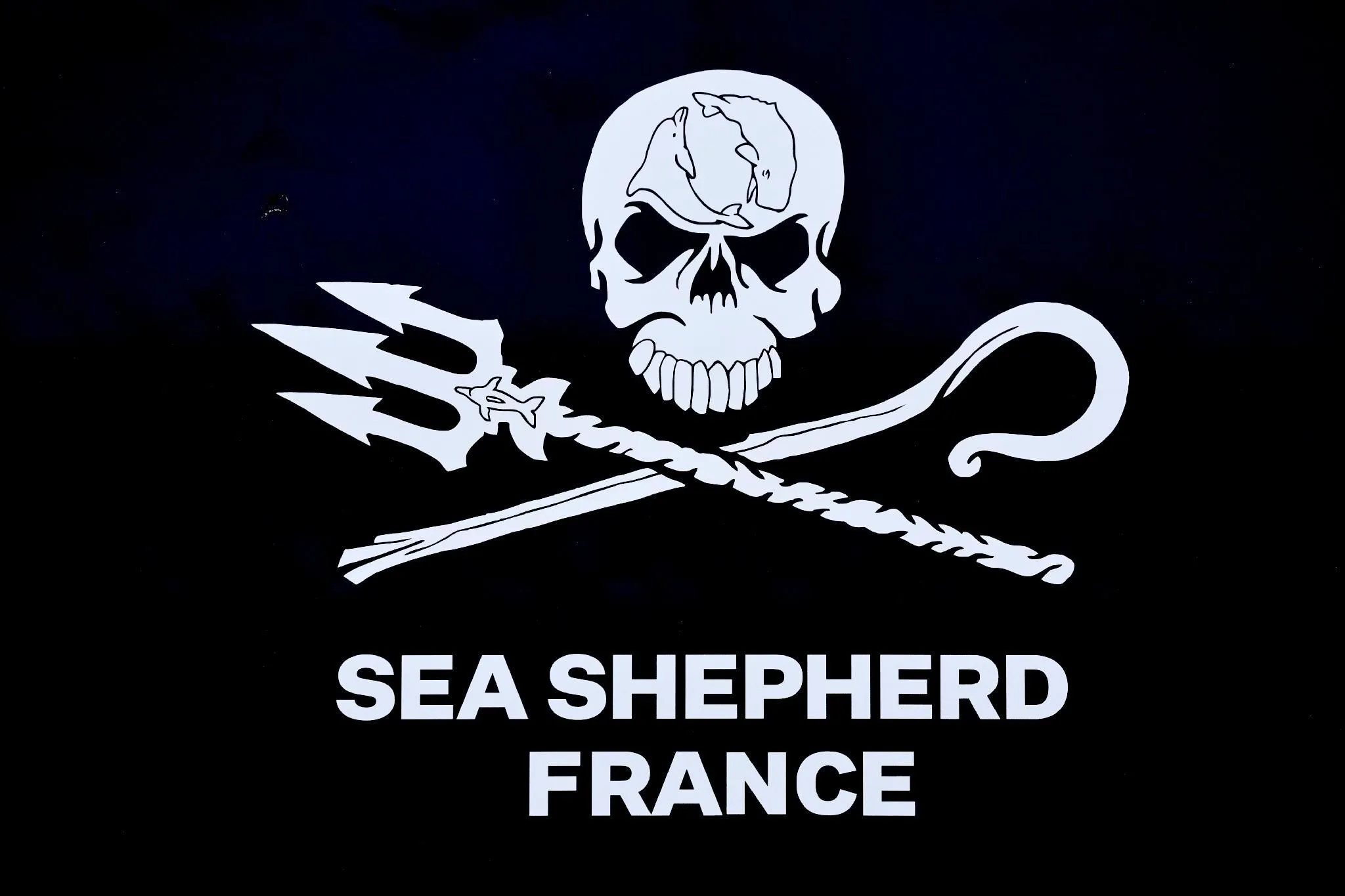 Paul Watson : Héros ou Controversé ? La Ville de Paris lui décerne la citoyenneté d'honneur