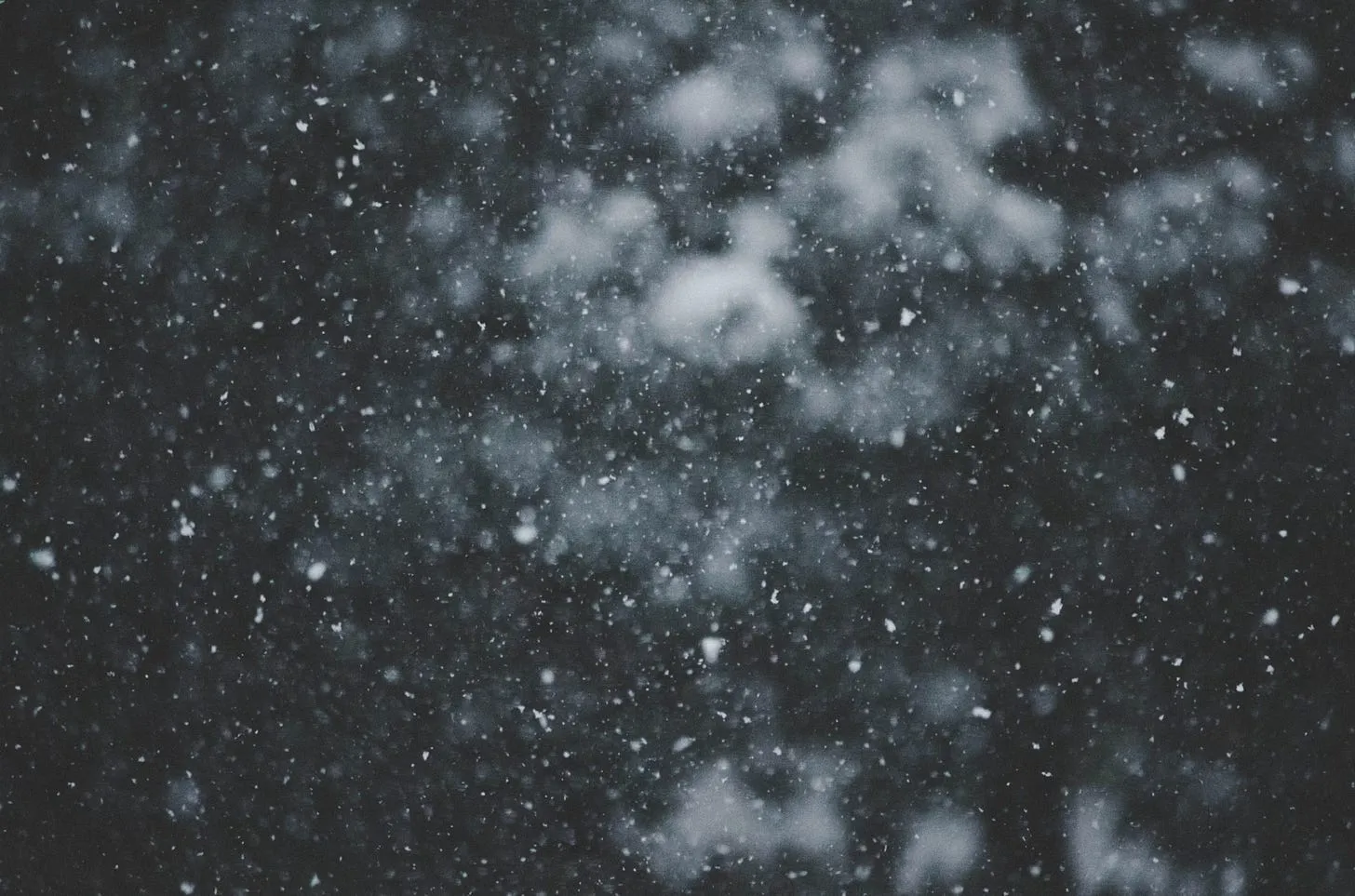 Tempête de Neige dans les Pyrénées : Alerte Rouge et Impact Météo en France