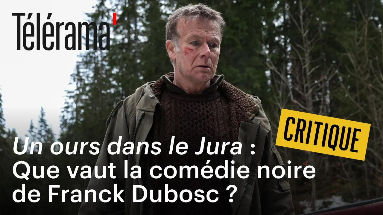 Un ours dans le Jura : un phénomène qui fascine et inquiète