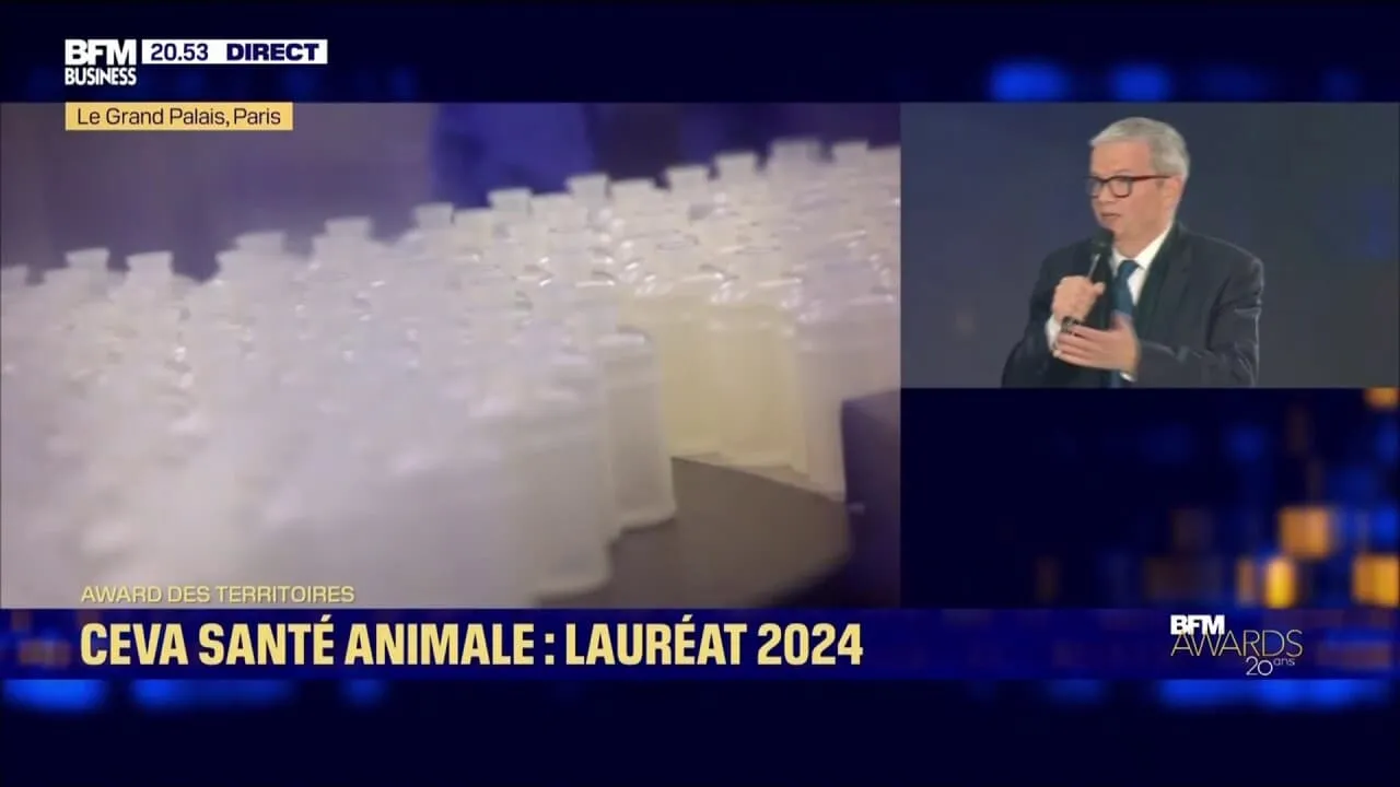 BFMTV Direct : Suivez l'Actualité en Temps Réel en France