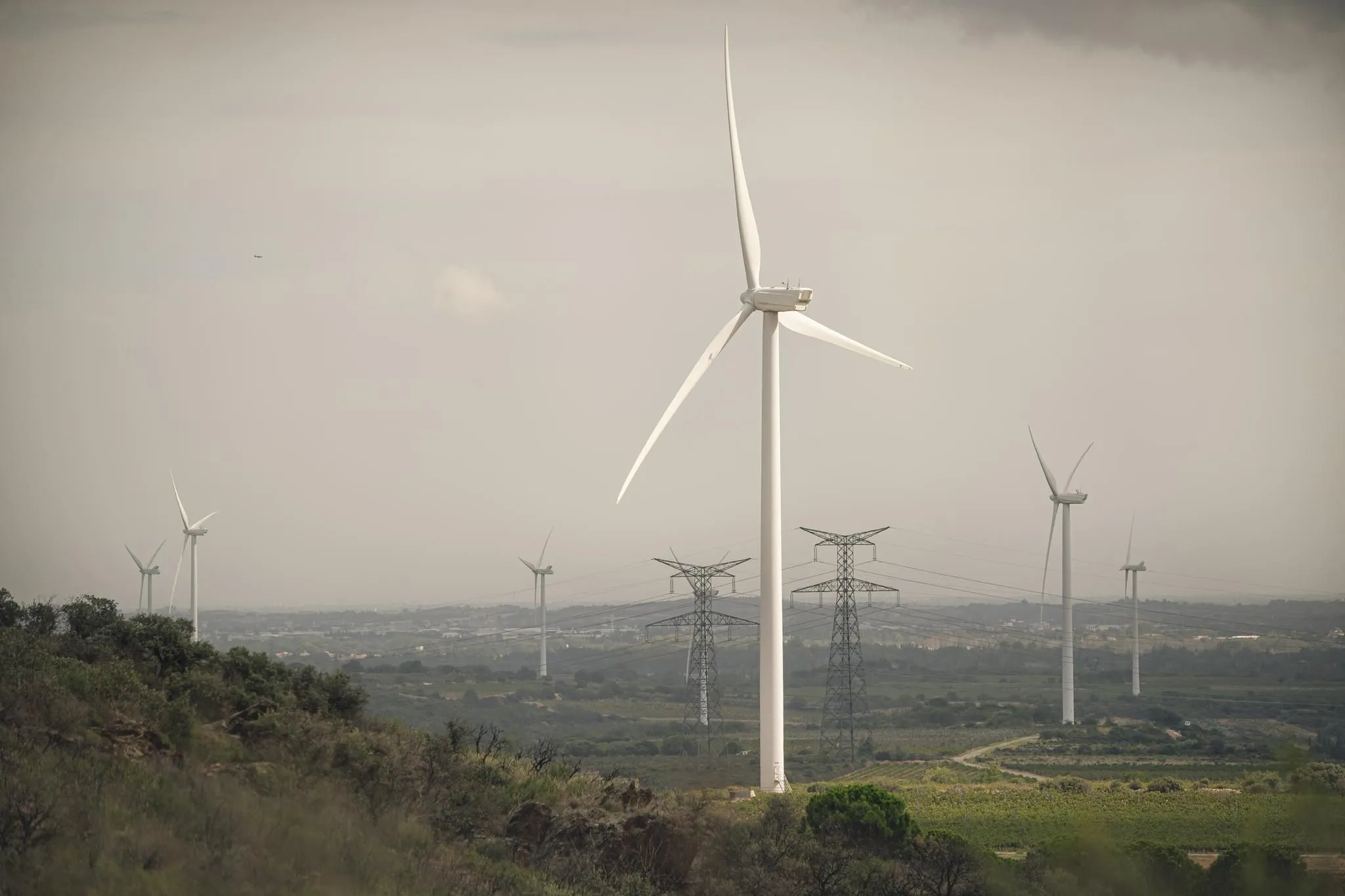 Électricité : Baisse de 15% du tarif réglementé dès février 2025 !