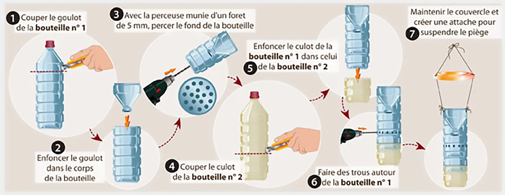 Frelons Asiatiques : Menace ou Opportunité pour la Biodiversité en France ?