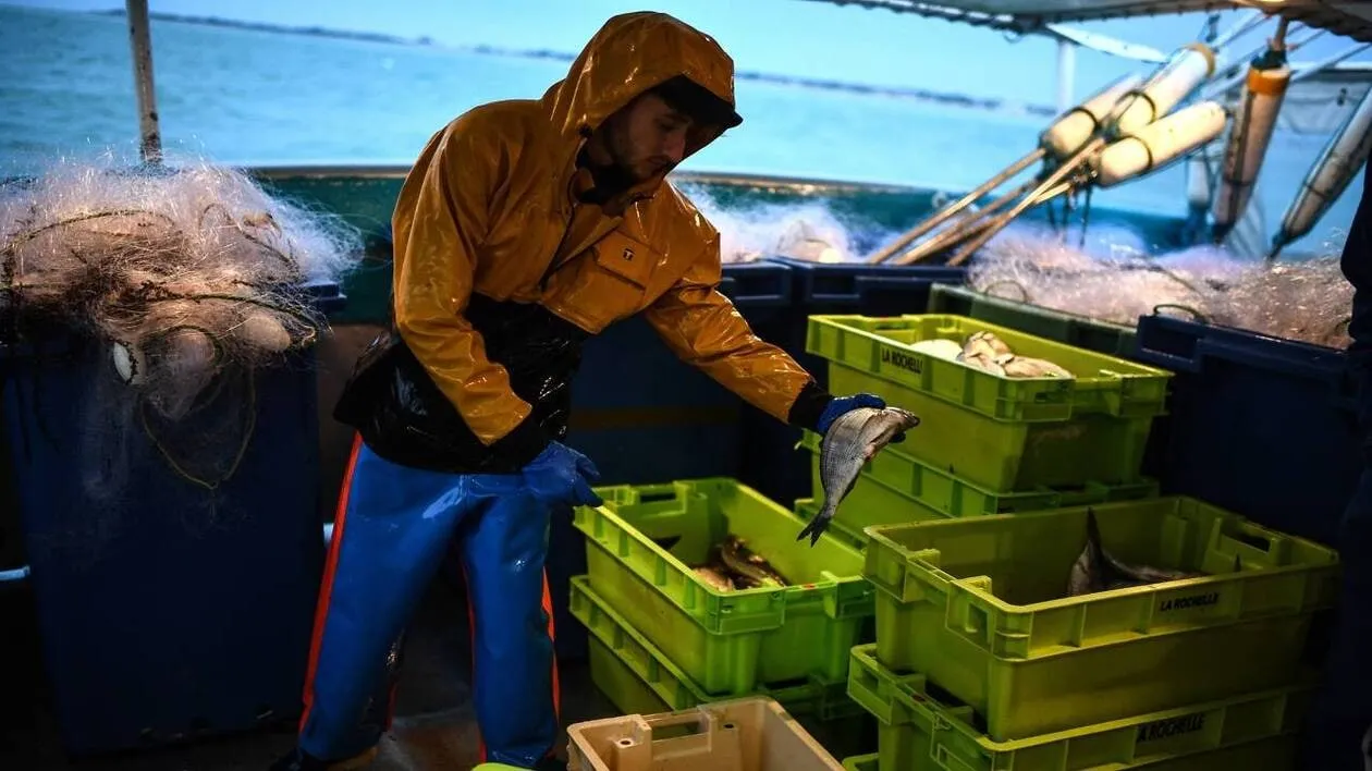 Golfe de Gascogne : Une interdiction de pêche pour sauver les dauphins