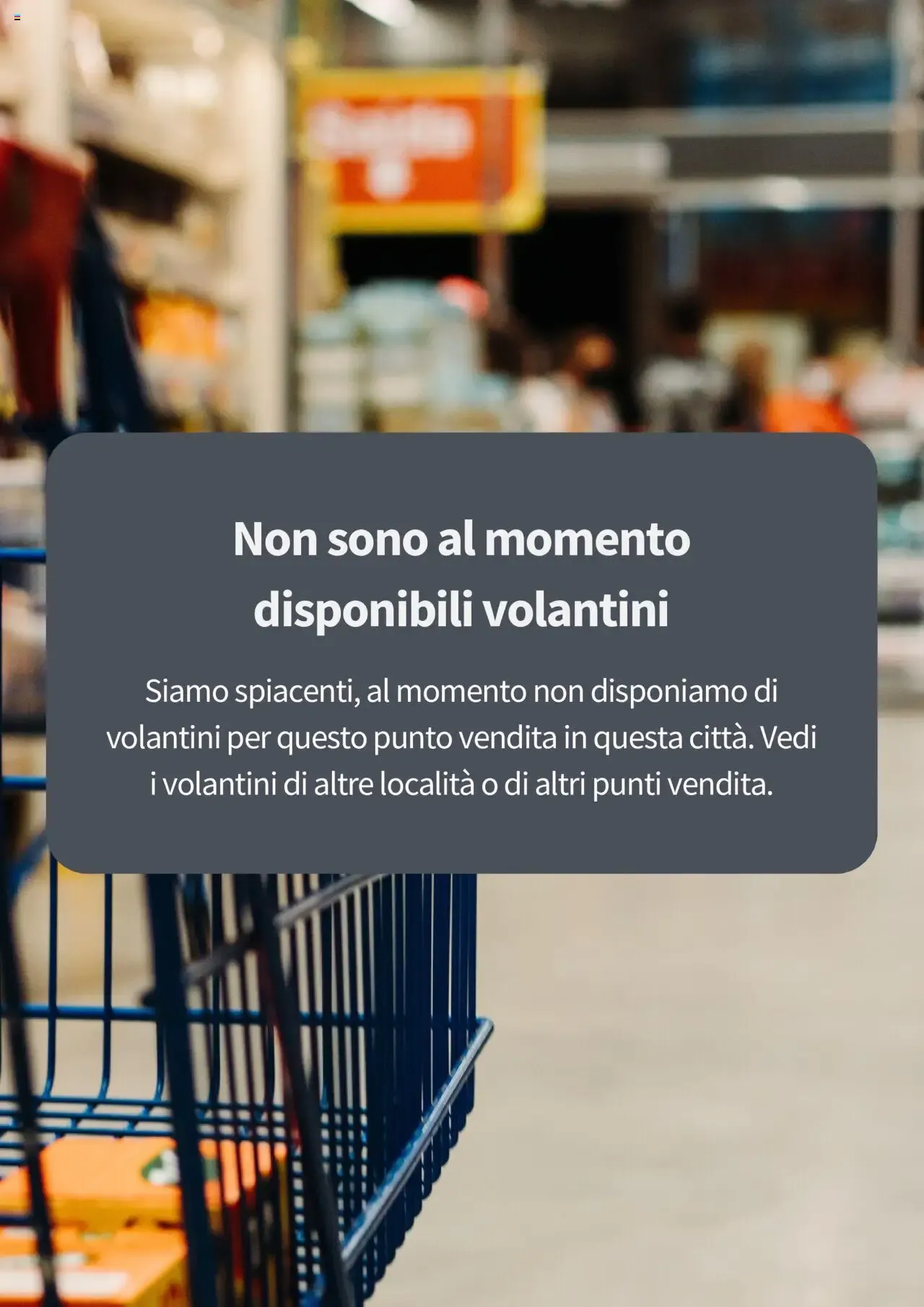 Intersport : Liquidation Totale, Des Offres Immanquables en France !