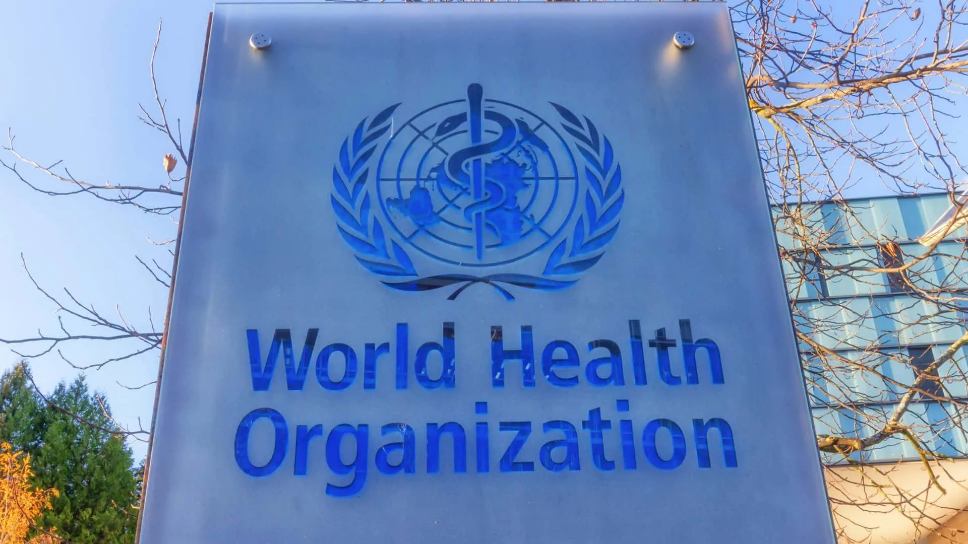 OMS : Vers une nouvelle ère de la santé mondiale en 2025