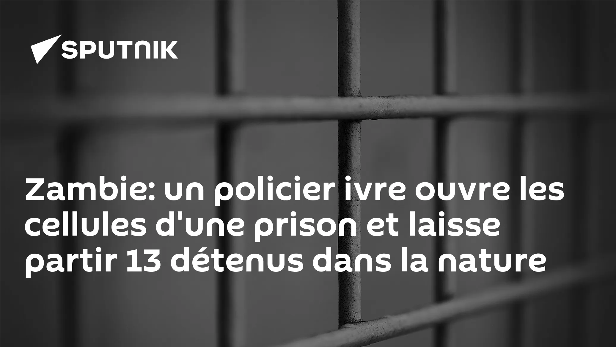 Scandale en France : Un policier ivre au volant, la vidéo qui choque !