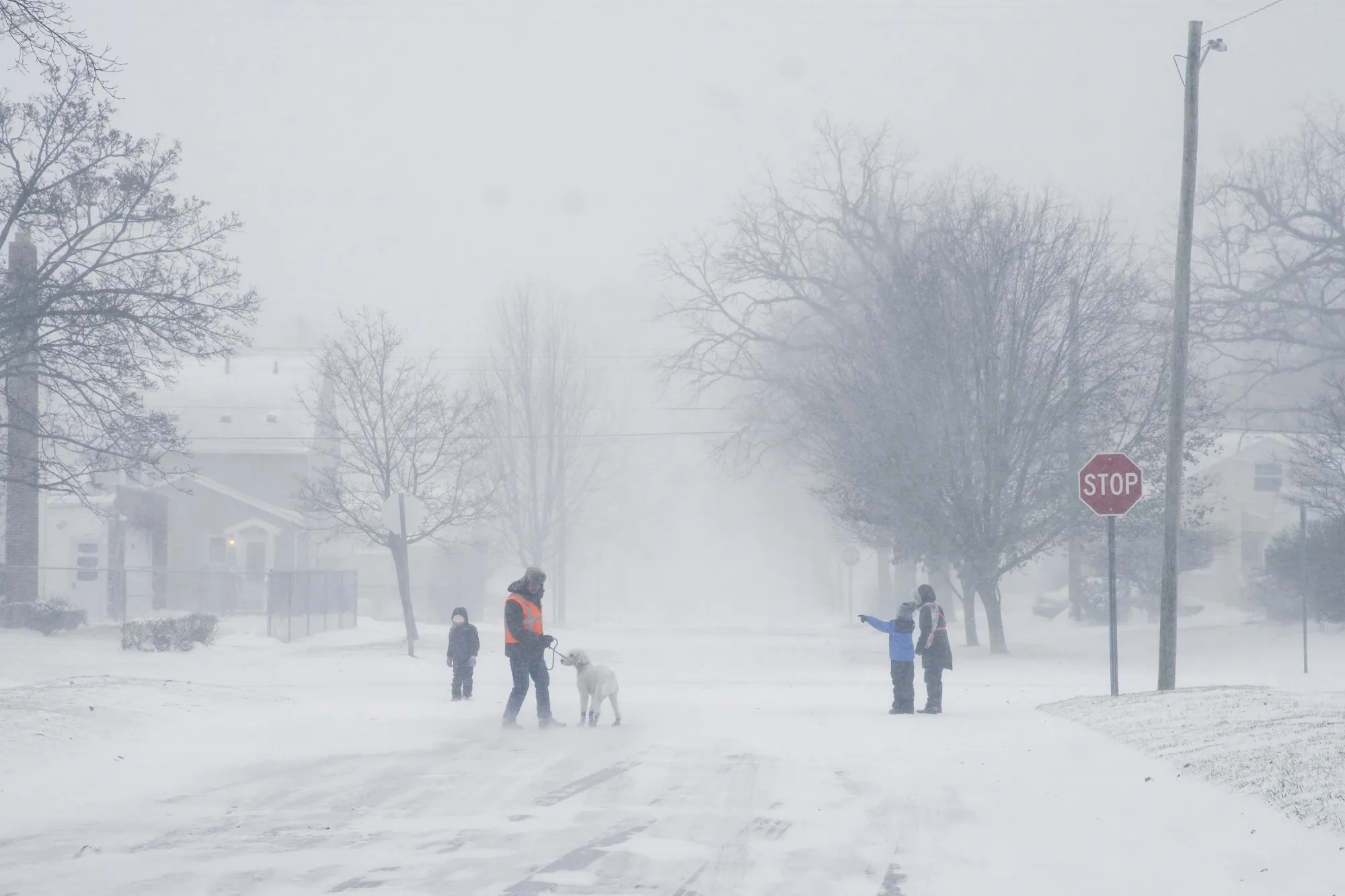 Tempête hivernale : les États-Unis sous la neige et le froid extrême