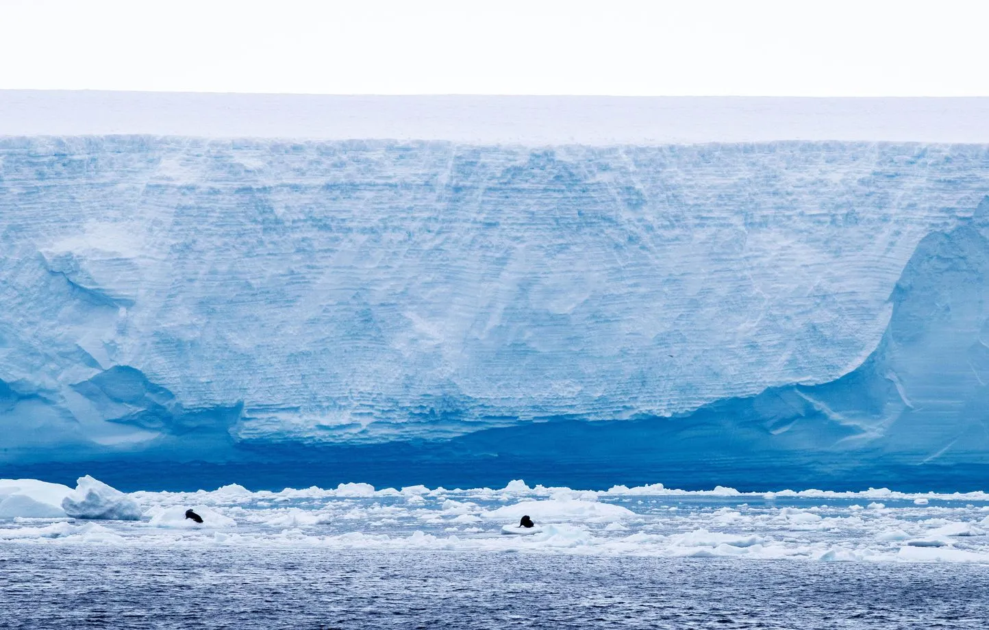 Un iceberg britannique fait des vagues : l'île mystérieuse en quête de son roi
