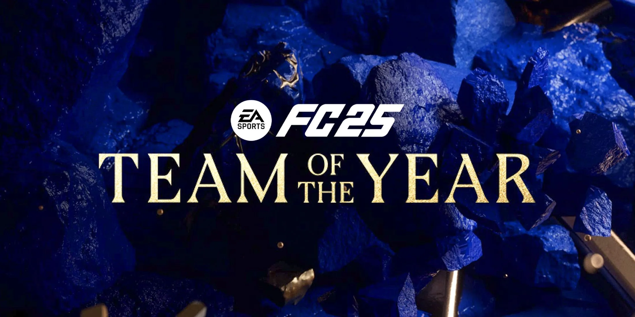 Votez pour l'Équipe de l'Année : Participez à la TOTY FC 25 dès maintenant !