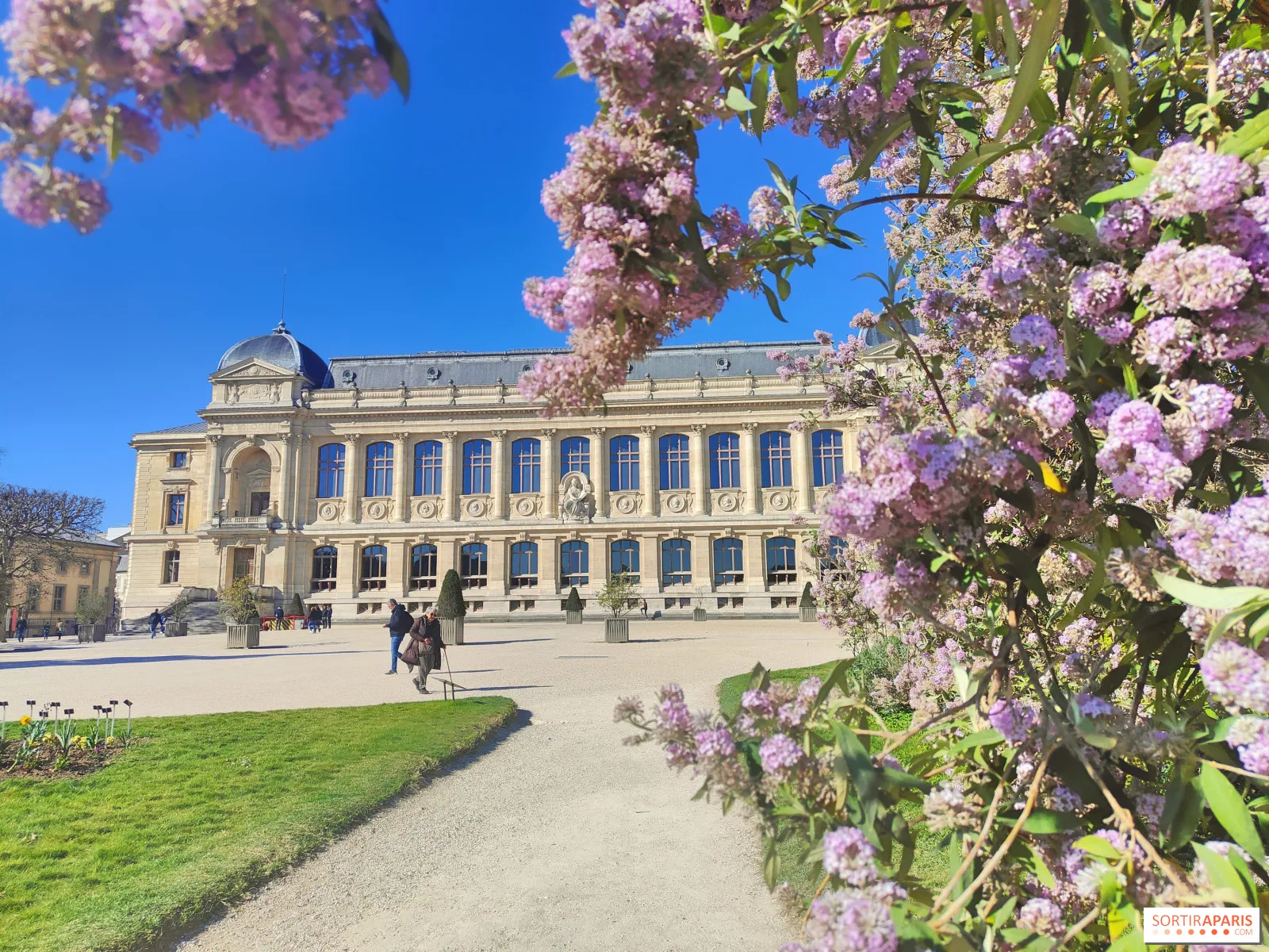 8 Mai : Un Jour de Mémoire et de Réflexion en France