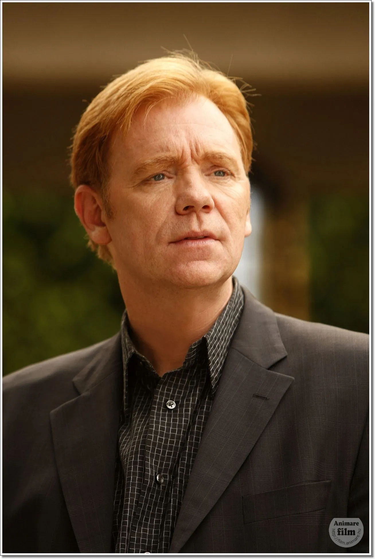 David Caruso : Le Retour Surprise de l'Acteur qui Fait Sensation en France