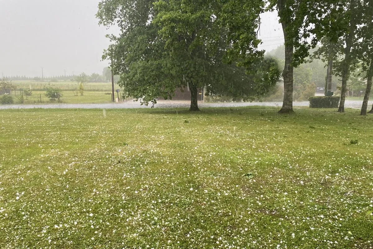 Orage de Grêle à Langon : Un Cataclysme pour les Cultures !